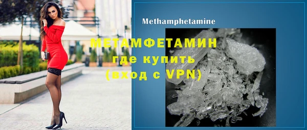 прущие грибы Медвежьегорск