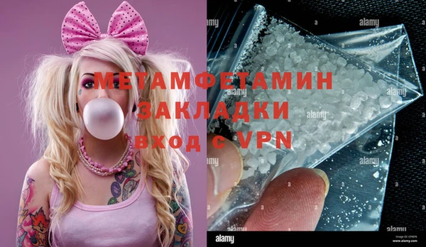 прущие грибы Медвежьегорск