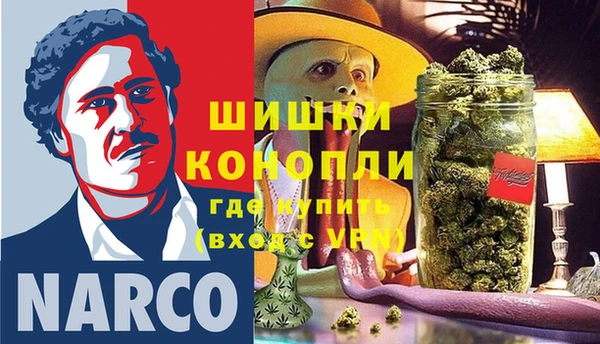 прущие грибы Медвежьегорск