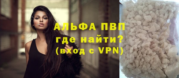 прущие грибы Медвежьегорск