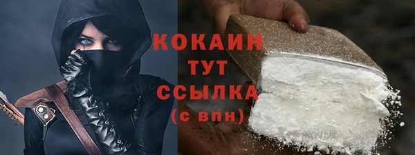 прущие грибы Медвежьегорск
