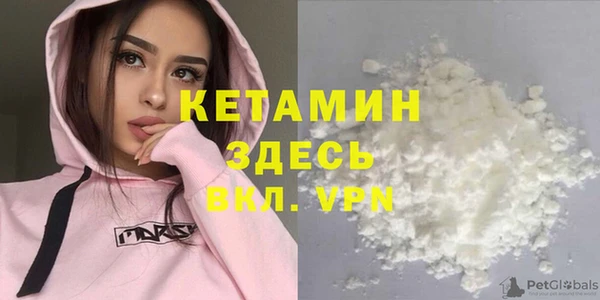 прущие грибы Медвежьегорск