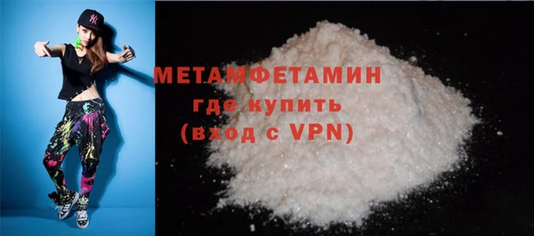 прущие грибы Медвежьегорск