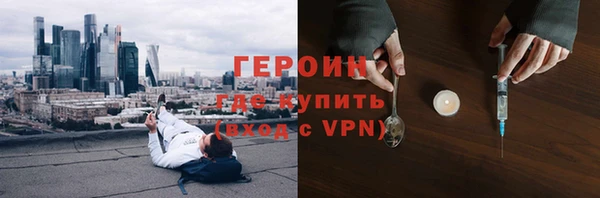 прущие грибы Медвежьегорск
