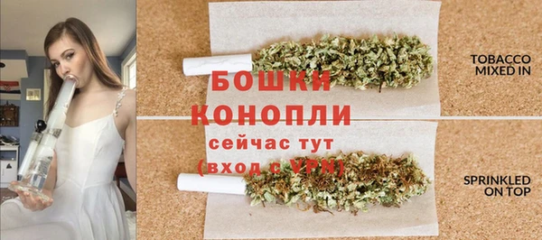 стафф Мегион