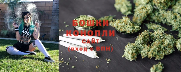 стафф Мегион