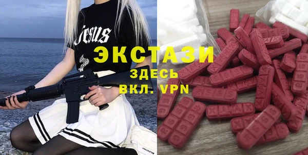 прущие грибы Медвежьегорск