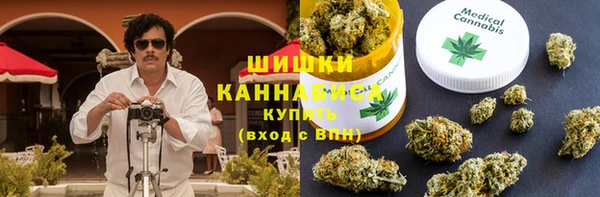 прущие грибы Медвежьегорск